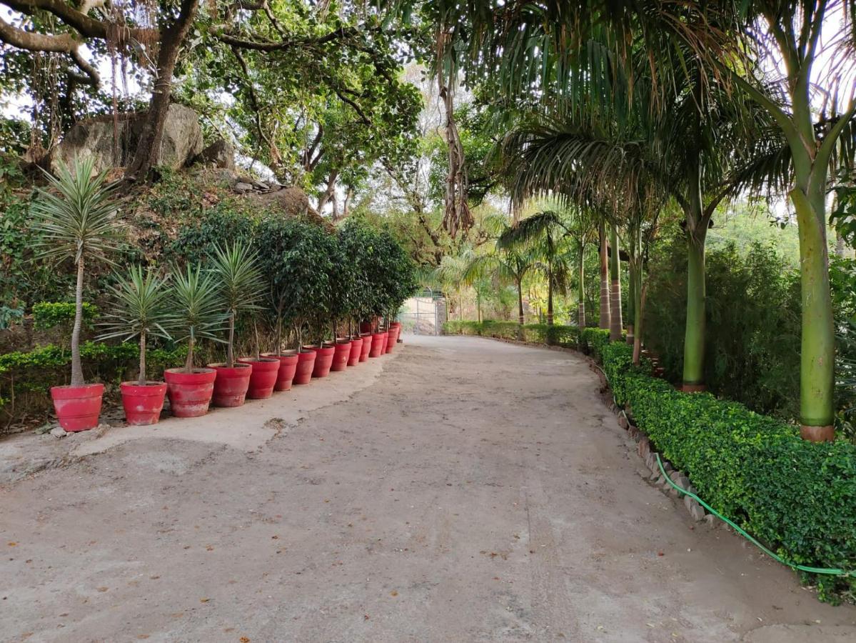 Rose Cottage - A Heritage Retreat Mount Abu Esterno foto